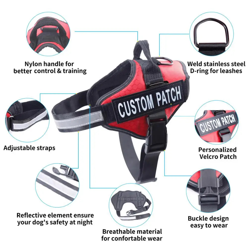 The Buddy Harness