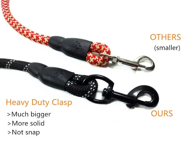 The "Companion" Leash
