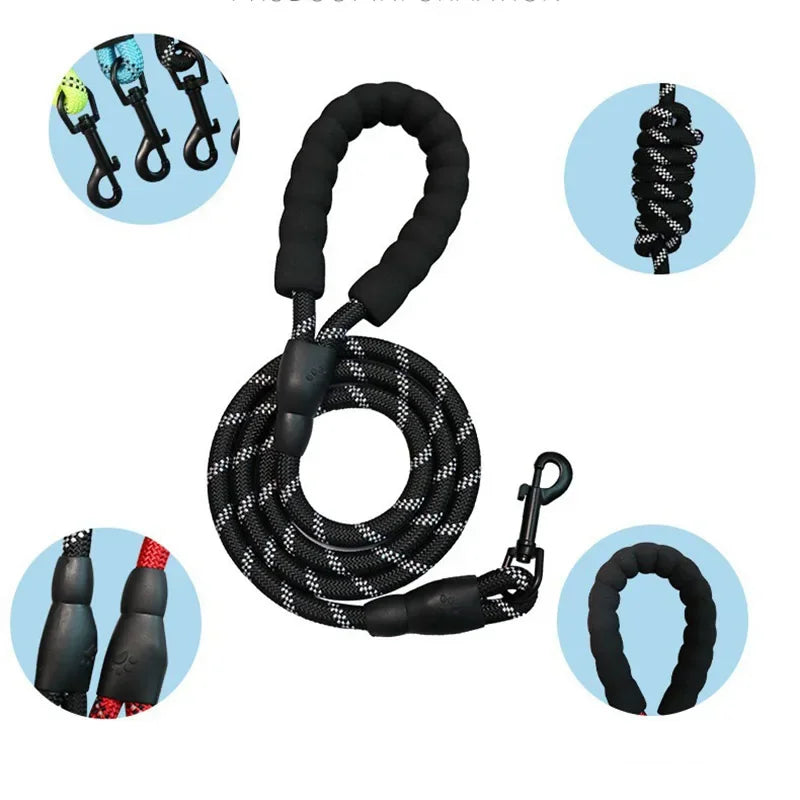 The "Companion" Leash