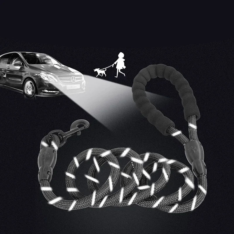 The "Companion" Leash