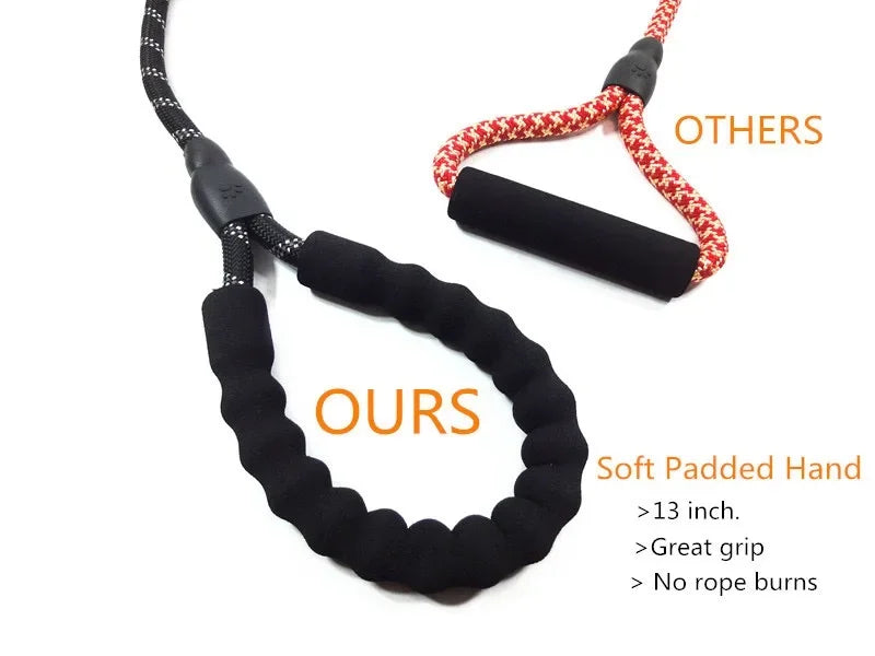 The "Companion" Leash